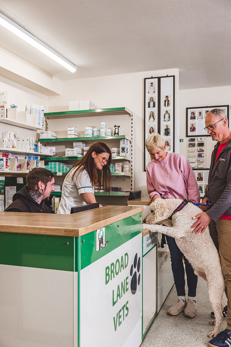 Broad Lane Vets - Payment & Pet Insurance Image