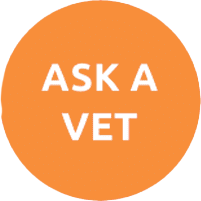Ask a vet