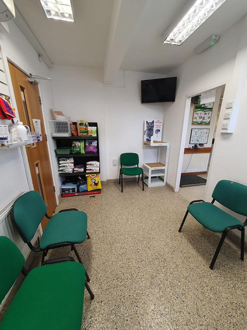 Image For Cat Only Clinics At Broad Lane Vets In Coventry