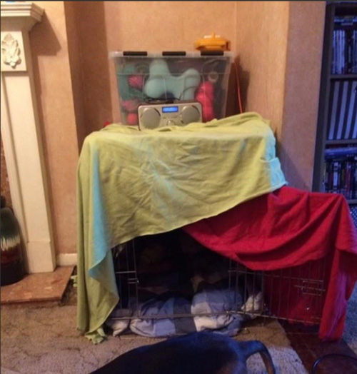 Firework Prep Image 1