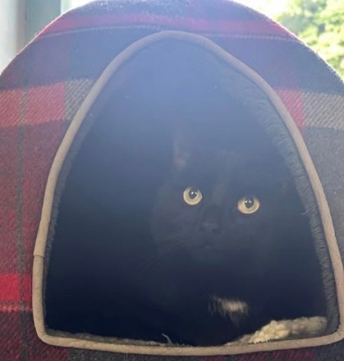 Firework Prep Image 2