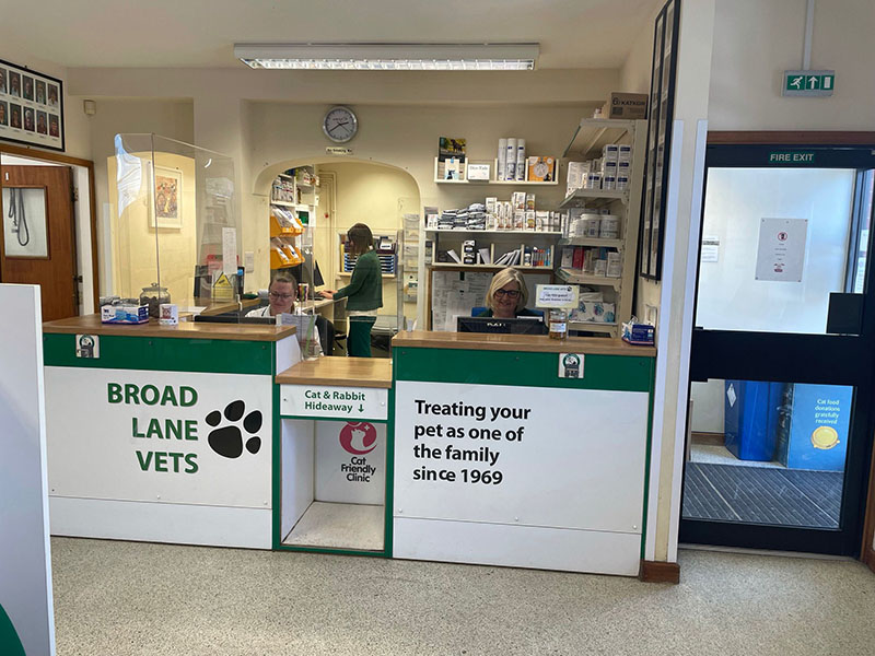 Image For Saying Goodbye To Your Pet At Broad Lane Vets In Coventry